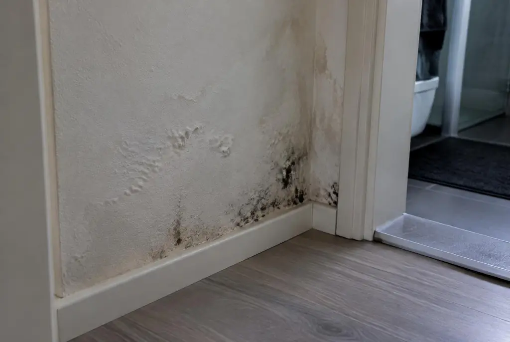 Lekdetectie Oss – vochtplek met schimmel op een muur